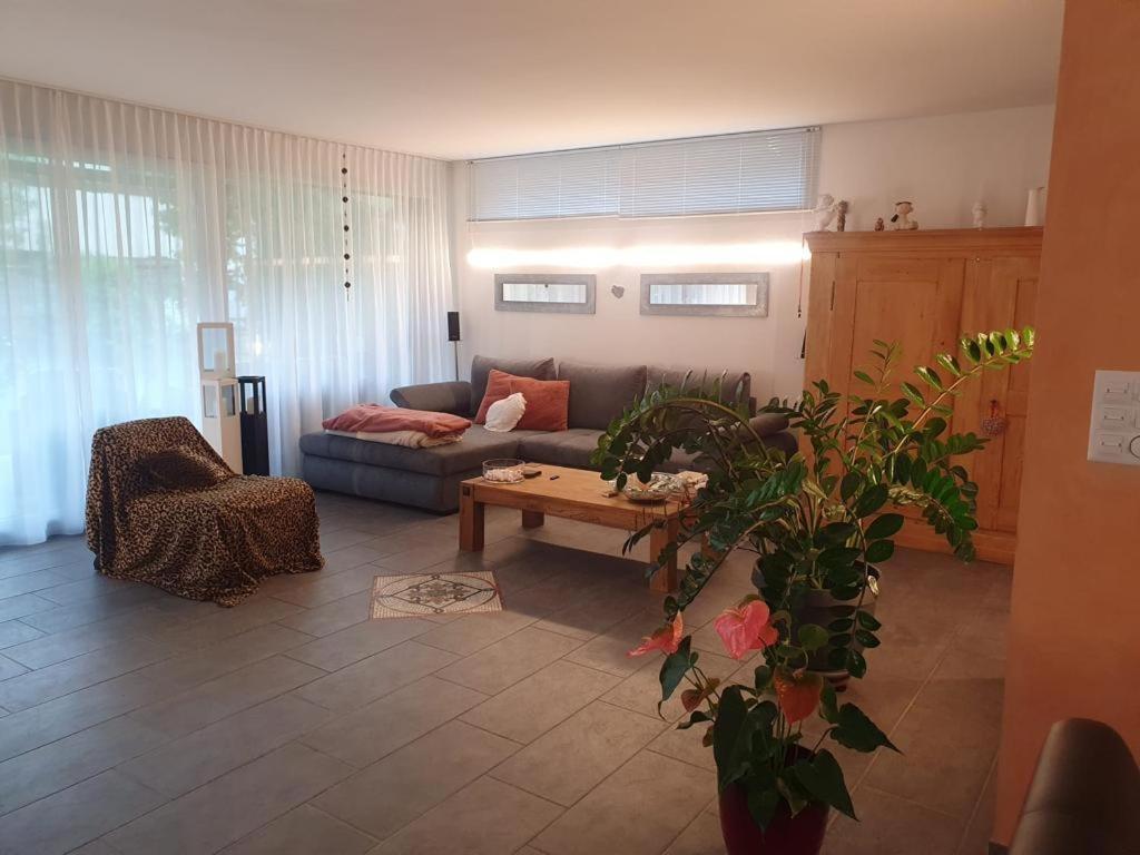 Casa Nadja, Naehe Skigebiet Flims-Lax Ems Buitenkant foto